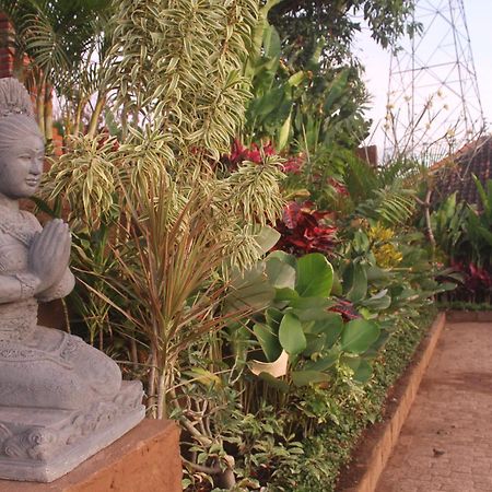 Eliska Sari Bungalows Sumberkima Pemuteran  Luaran gambar