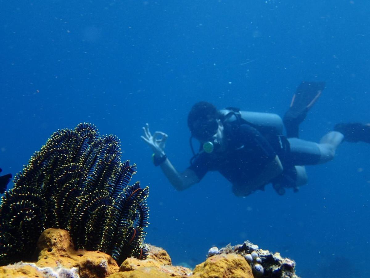 Eliska Sari Bungalows Sumberkima Pemuteran  Luaran gambar