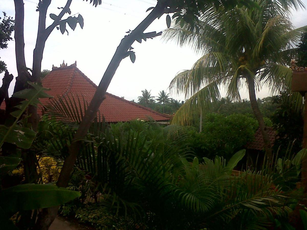 Eliska Sari Bungalows Sumberkima Pemuteran  Luaran gambar