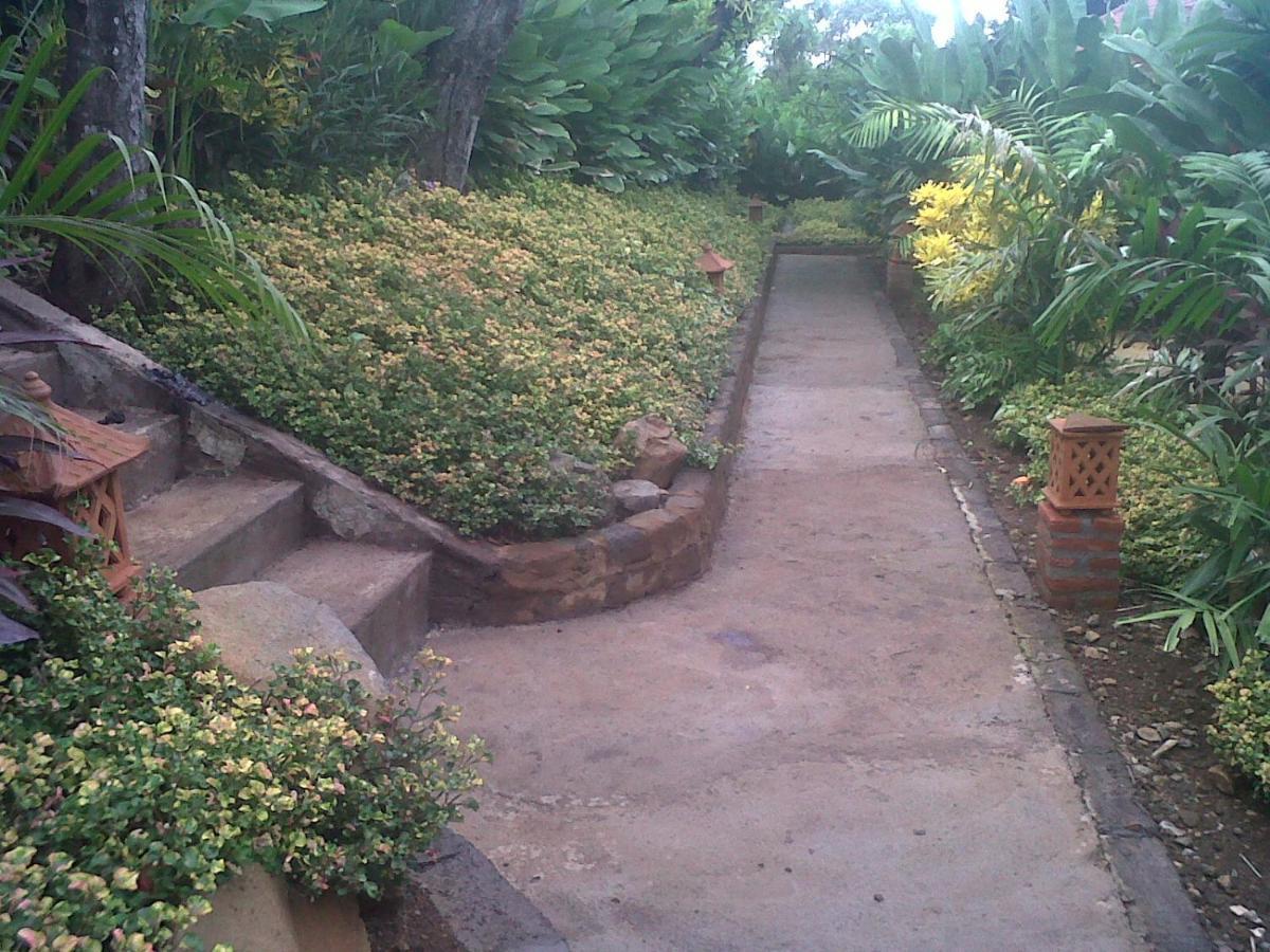 Eliska Sari Bungalows Sumberkima Pemuteran  Luaran gambar