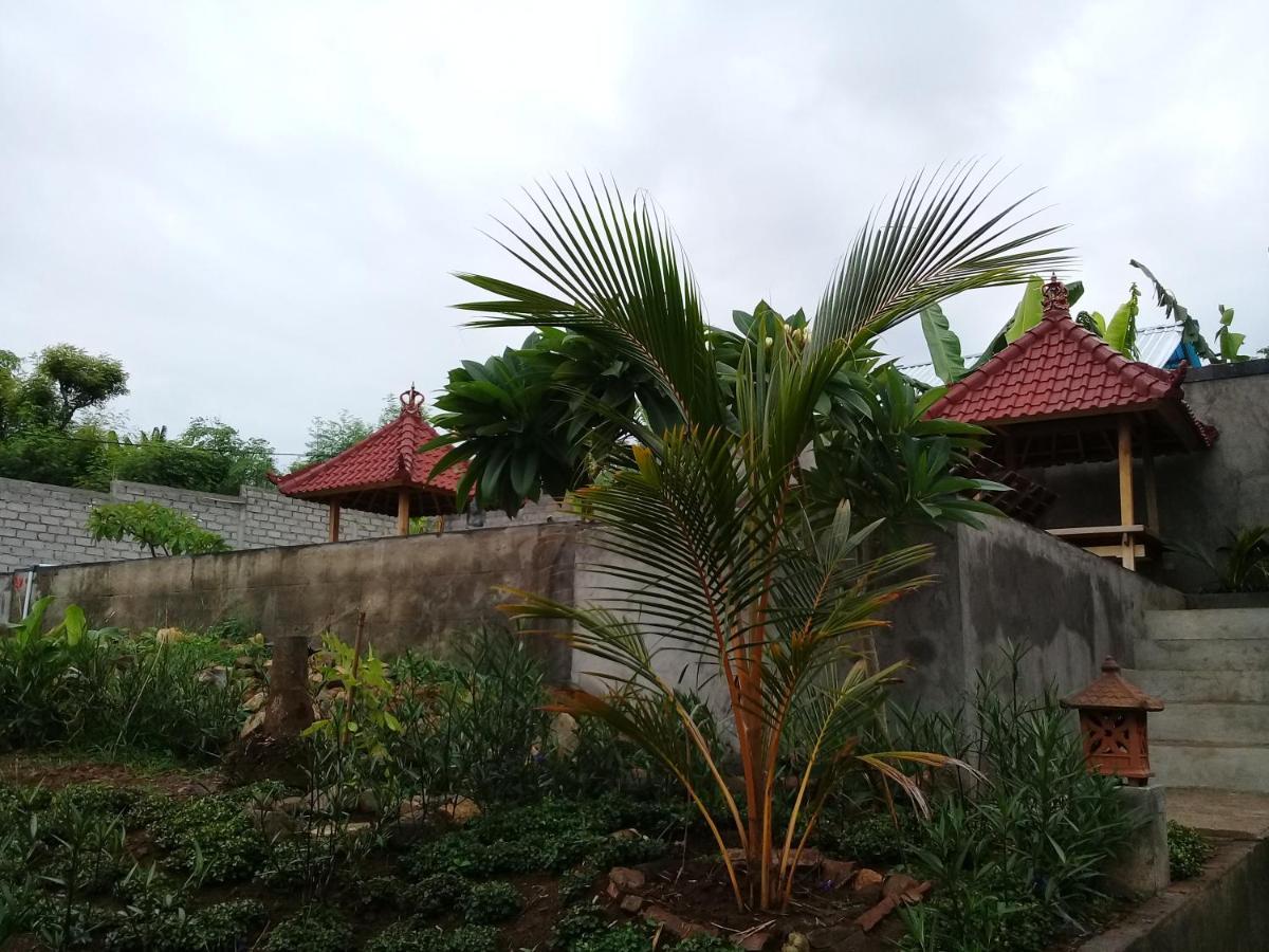 Eliska Sari Bungalows Sumberkima Pemuteran  Luaran gambar