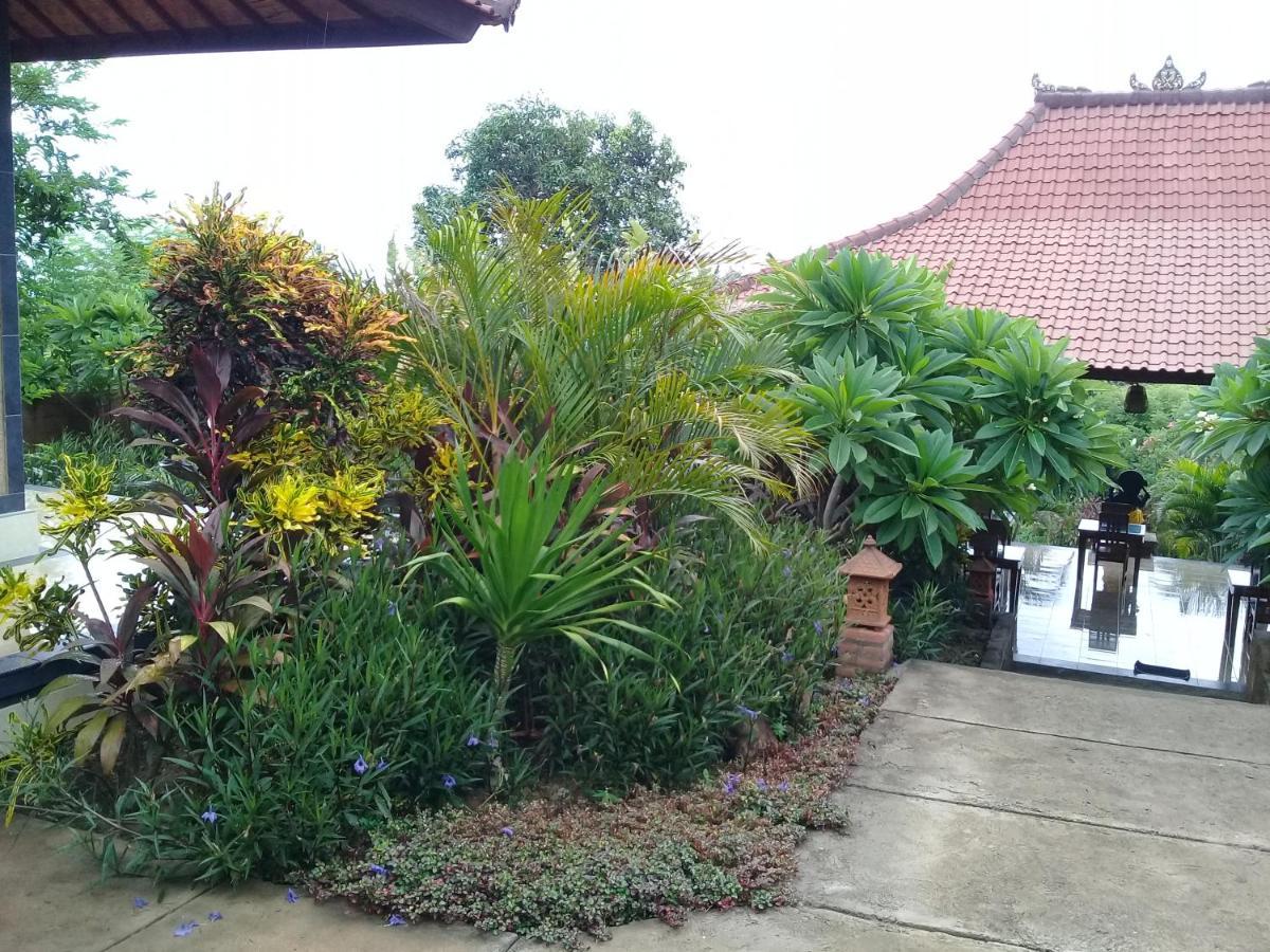 Eliska Sari Bungalows Sumberkima Pemuteran  Luaran gambar