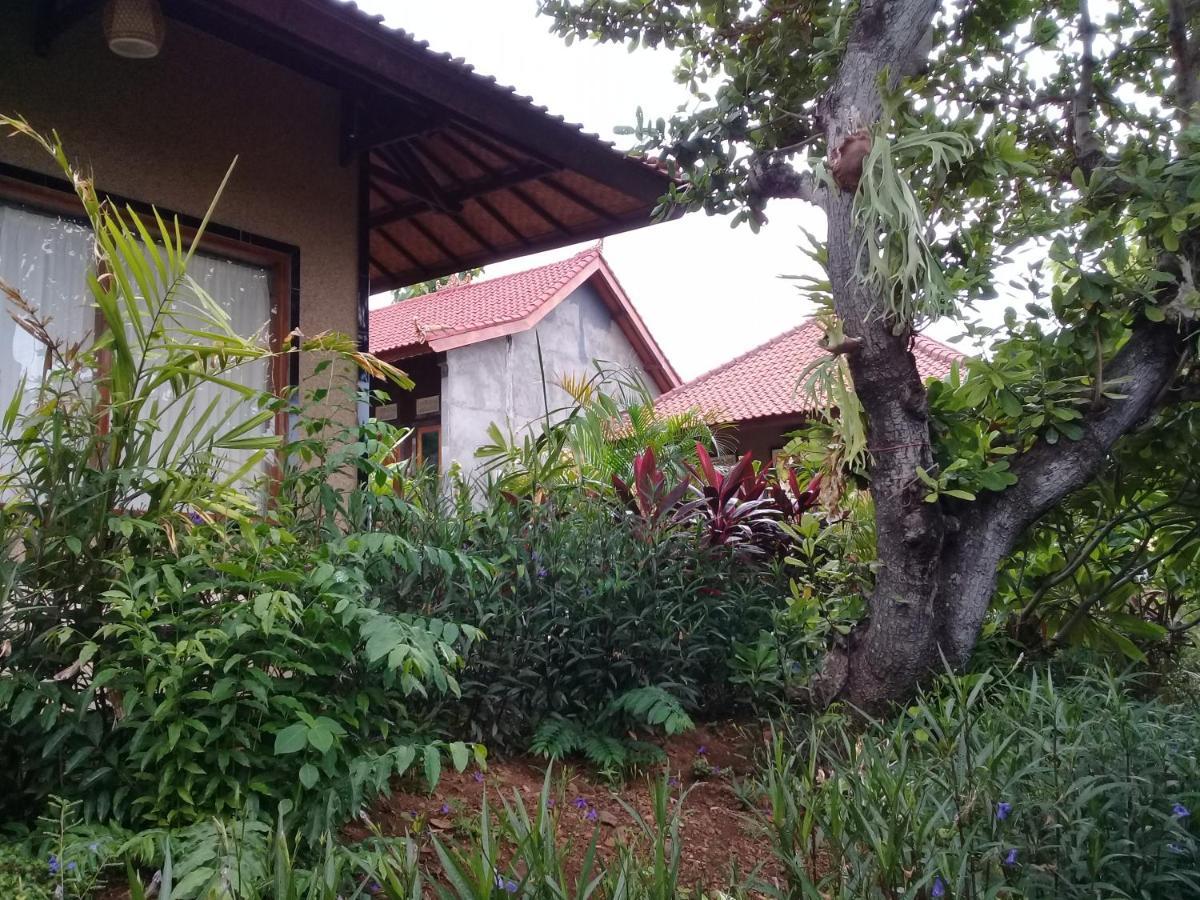 Eliska Sari Bungalows Sumberkima Pemuteran  Luaran gambar