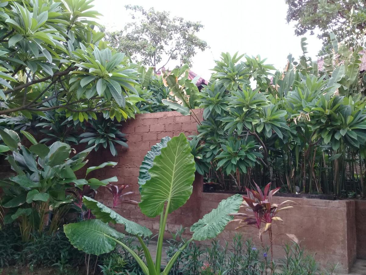 Eliska Sari Bungalows Sumberkima Pemuteran  Luaran gambar